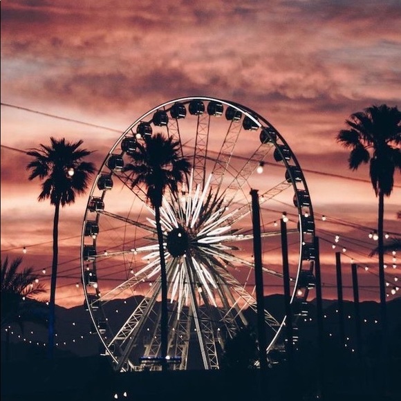 Meet your Posher, Sophia - Picture 1 of 1